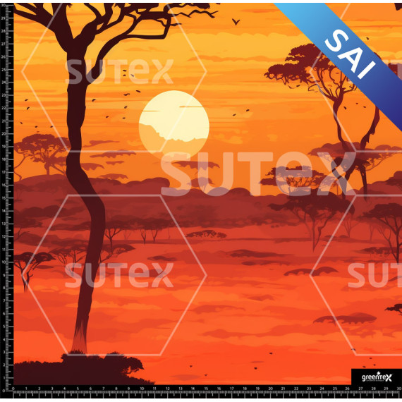 373599 SAI SUNSET 6 SAI B