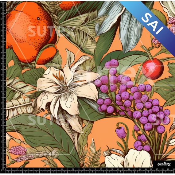 373589 SAI FRUTAS 1 SAI B