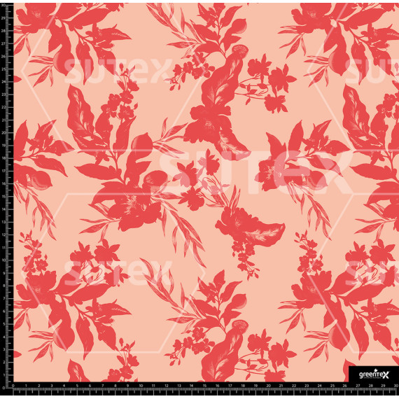 374401 AR FLORES CORAL AR