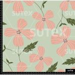 374579 AR FLORES ROSAS AR