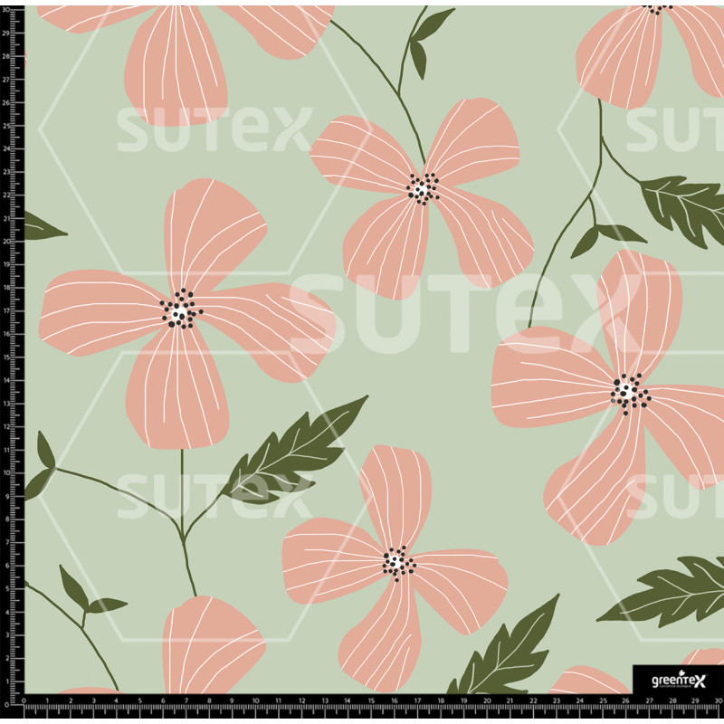 374579 AR FLORES ROSAS AR