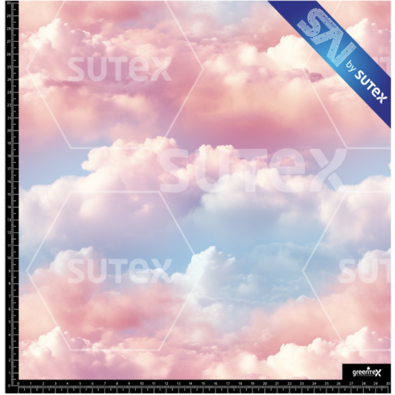 374891 NUBES1 SAI FS