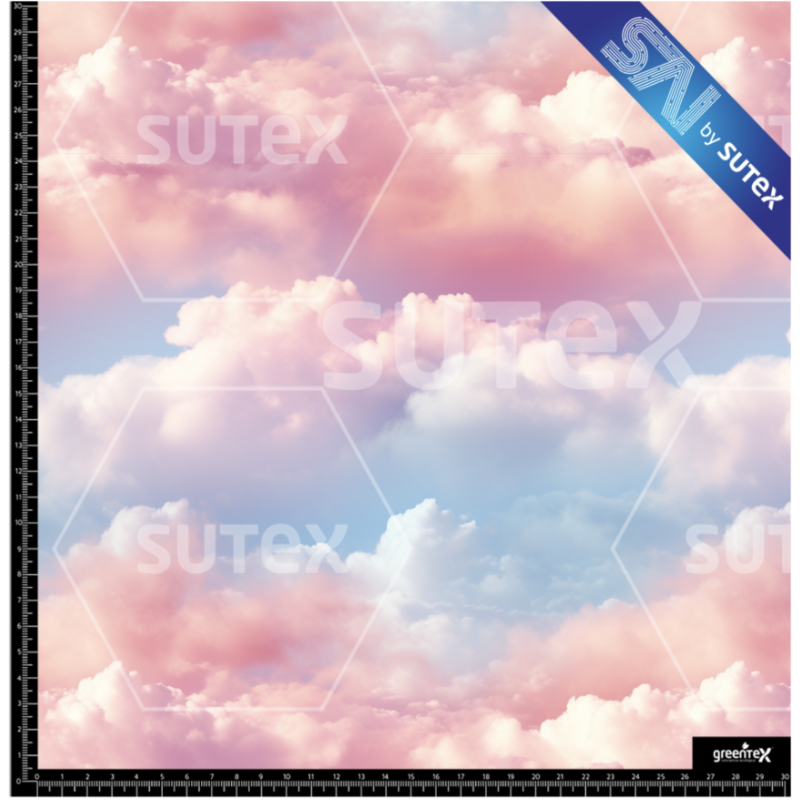 374891 NUBES1 SAI FS