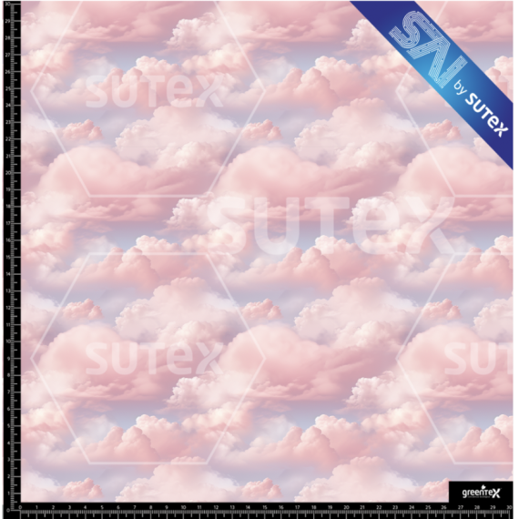 374892 NUBES2 SAI FS