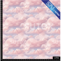 374892 NUBES2 SAI FS