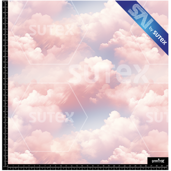 374893 NUBES3 SAI FS