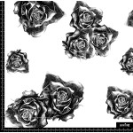 373663 BB ROSES SKETCH 1 B