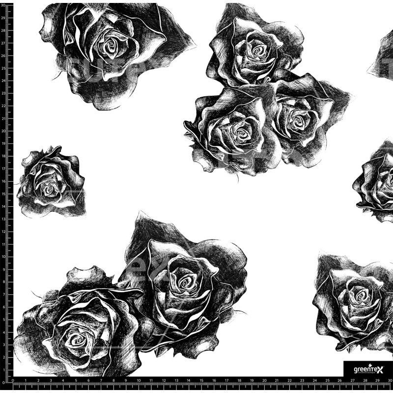 373663 BB ROSES SKETCH 1 B