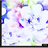 373623 BB DIFUSSE COLOR FLOWER 2 B