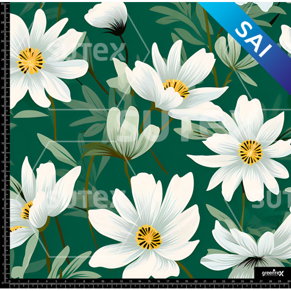 375362 GIRASOL BLAN AR