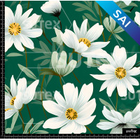 375362 GIRASOL BLAN AR