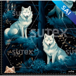 375471 SAI LOBOS 12 AR