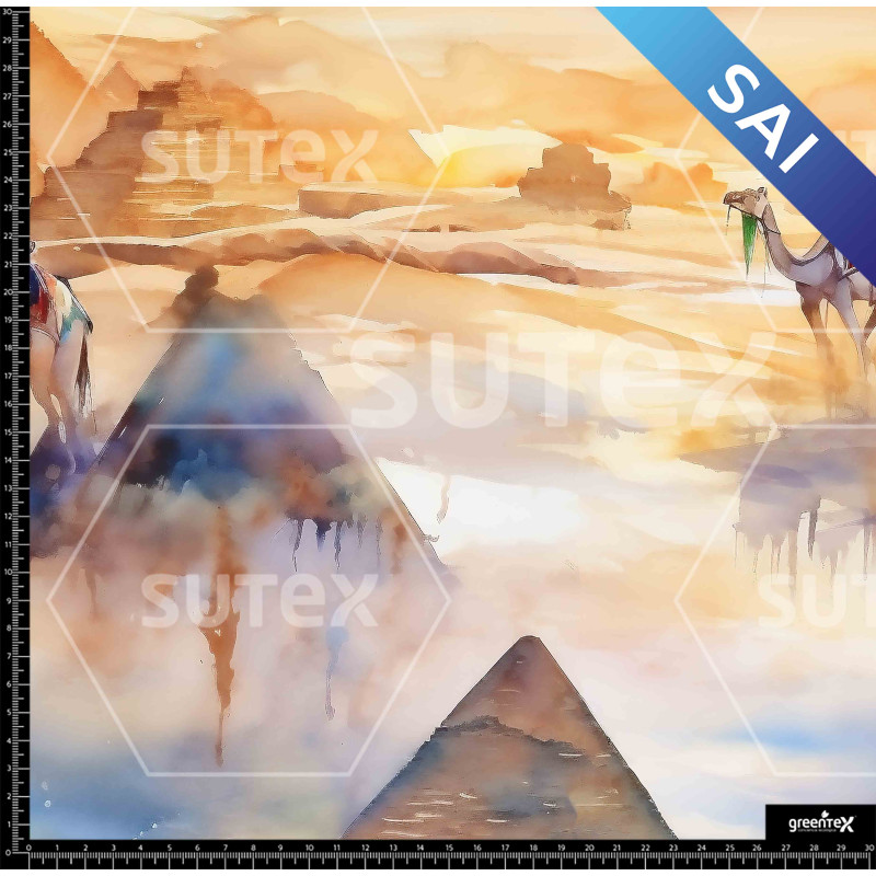 375444 XX DESERT CAMEL SAI X