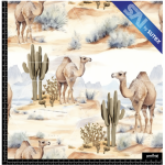 375586 DESIERTO1 SAI FS
