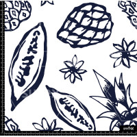 376238 BB FRUTALES SKETCH 1 B