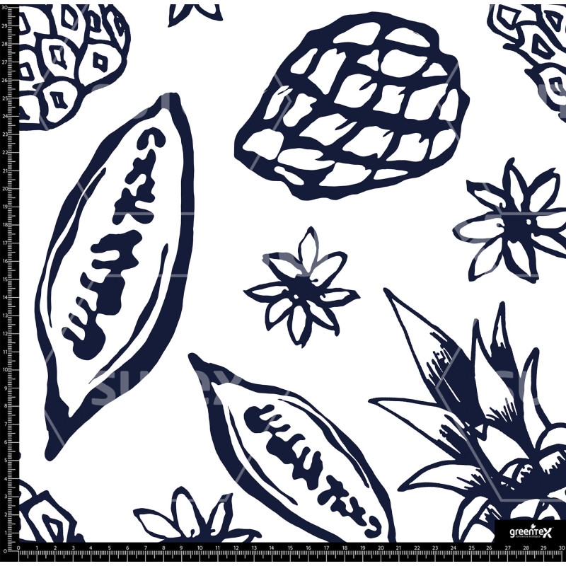 376238 BB FRUTALES SKETCH 1 B