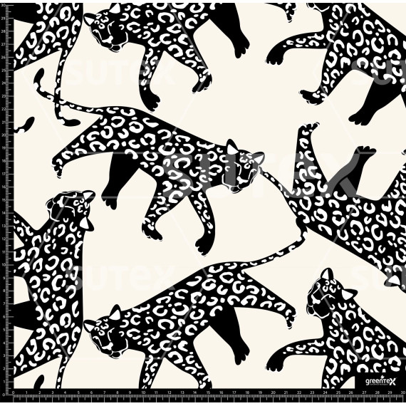 376239 BB LEOPARDS DRAWING 1 B