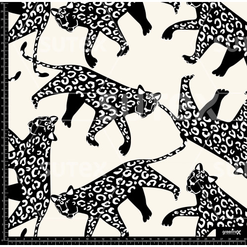 376239 BB LEOPARDS DRAWING 1 B