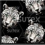 376237 BB LEOPARD FACES BLACK 1 B