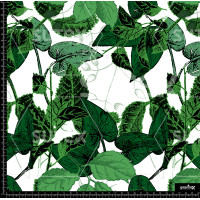 376187 AR HOJAS BOTANICAL AR