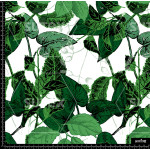 376187 AR HOJAS BOTANICAL AR