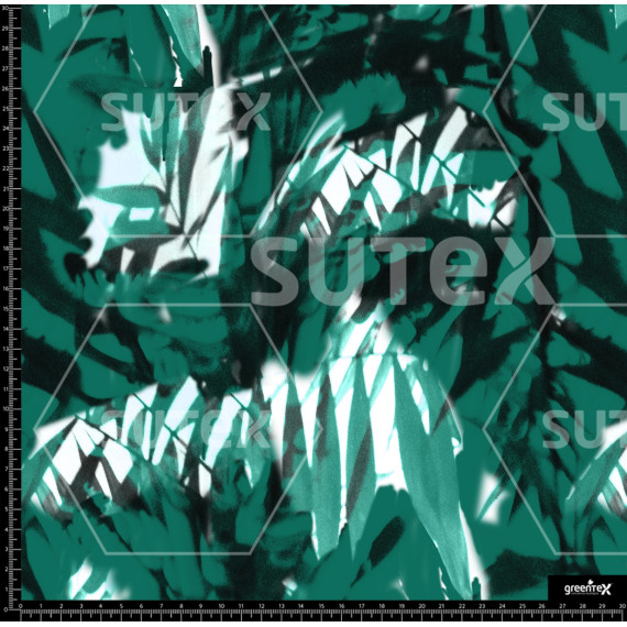 376734 AR BOTANICASL VDC AR