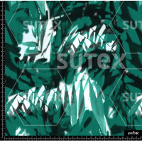 376734 AR BOTANICASL VDC AR