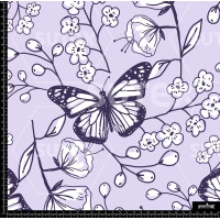 376990 AR FLORES MARIP CONORNOS AR