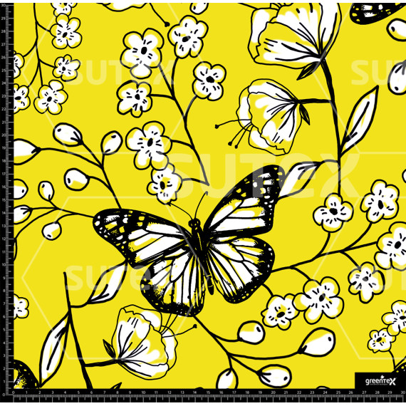 376991 AR FLORES MARIP CONORNOS P2 AR