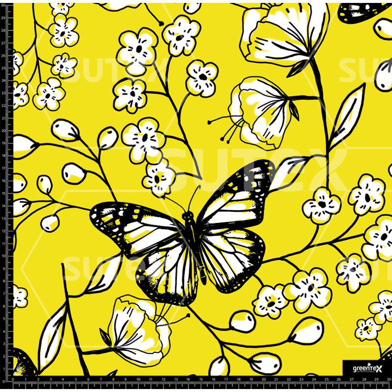 376991 AR FLORES MARIP CONORNOS P2 AR