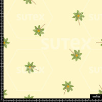 376767 AQ NEEDLE PALMS AQ