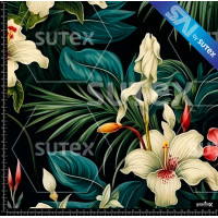 369380 TROPIC FLOW SAI ML