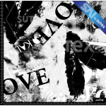 377605 TYPE BLACK FS