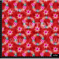 378673 AR FLORES ARCO P2 AR