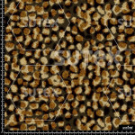 378463 AQ ANIMALSTAIN AQ