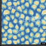 379013 AQ MANCHITAS AZULES AQ