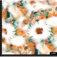 377966 BB DIFUSE MARGARET 1 B