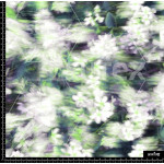 377976 BB DIFUSE GARDEN 2 B