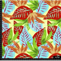 377469 BB FLORAL GARDEN DRAWING 7 B