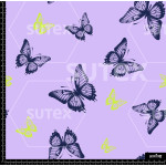 376846 MARIPOSAS SLEEP MORA Z