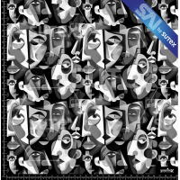 379695 ARTCUBISM 3 SAI FS