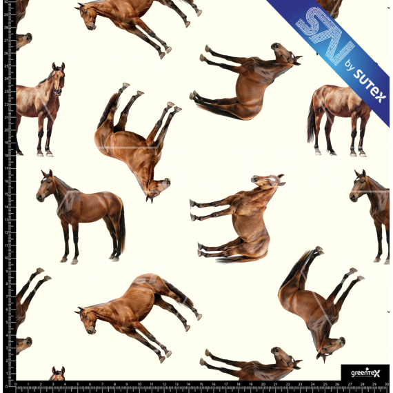 379715 CABALLO3 SAI FS