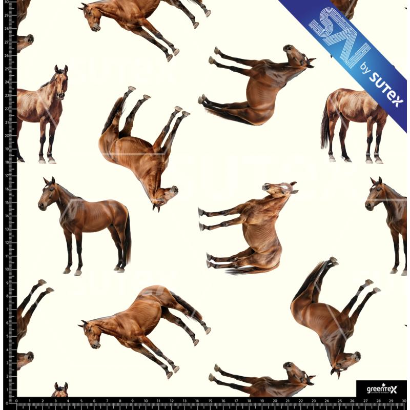 379715 CABALLO3 SAI FS