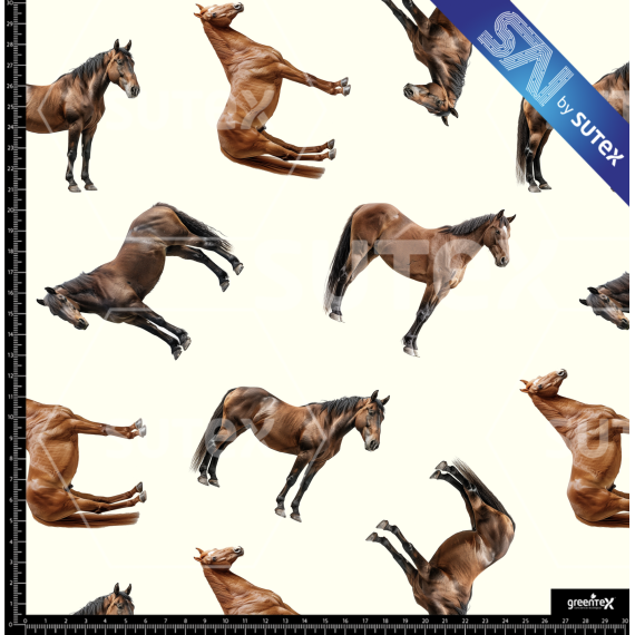 379714 CABALLO3 SAI FS