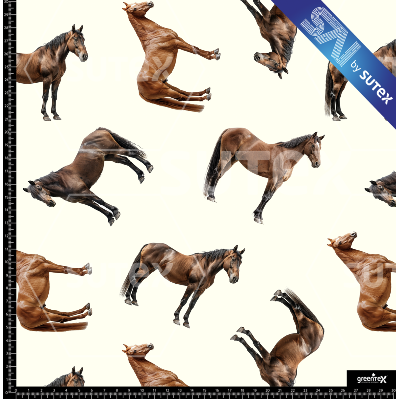 379714 CABALLO3 SAI FS