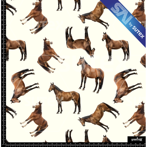 379713 CABALLO1 SAI FS