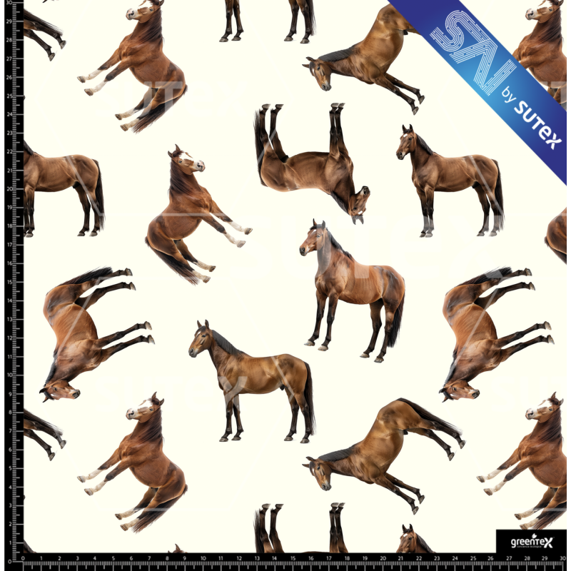 379713 CABALLO1 SAI FS