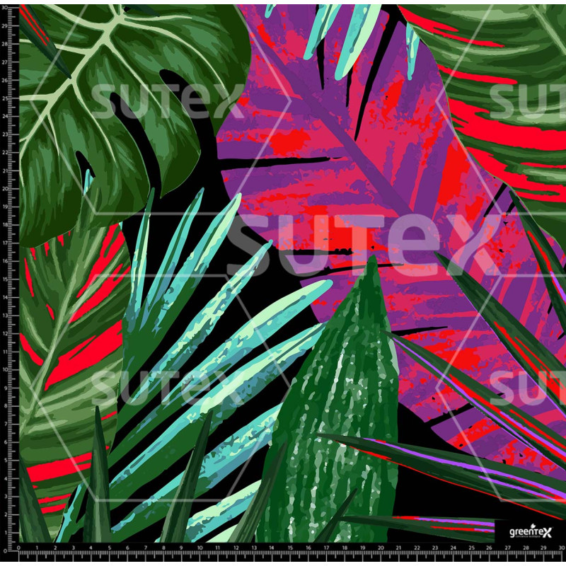 377384 SELVA TROPCALES Z