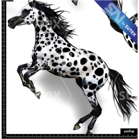 380273 HORSES2 SAI FS