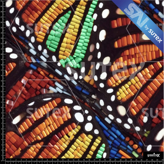 375192 SAI CANUTILLO MARIPOSAS SAI AQ